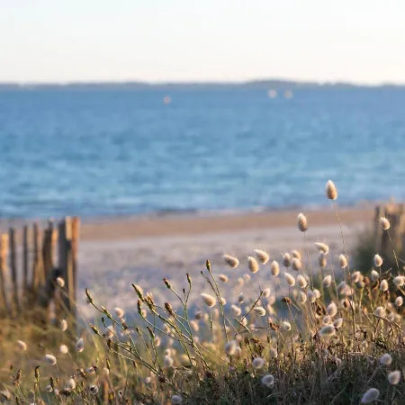 Les Druides By Interhome Apartman Carnac